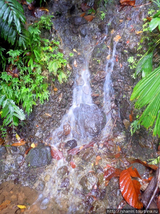 Что-то типа маленького водопада. Вернее, вода все же не падает, а стекает по крутому склону. Округ Сент-Джордж, Доминика