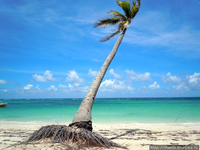 Только пляж, но очень длинный Баваро, Доминиканская Республика