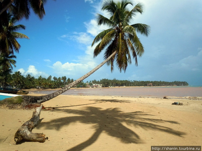 Пляж на полуострове Лас-Терренас, Доминиканская Республика