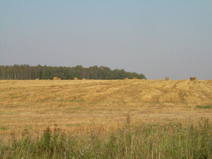 Зарайск Зарайск, Россия