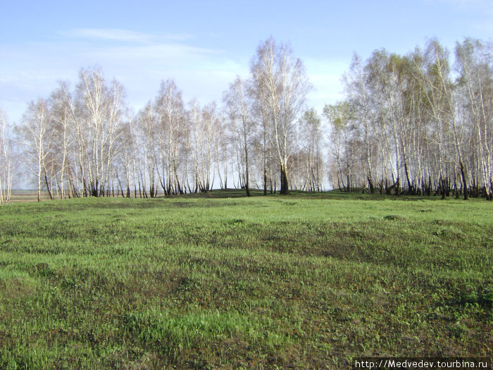 Ингальская долина Ялуторовск, Россия