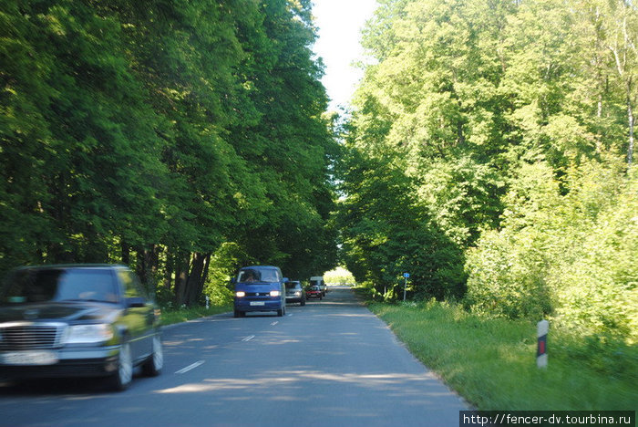 Дорога на Зеленоградск — один из двух главных курортов региона. Две полосы, деревья по обочине и плотный поток машин под 100 км/ч Калининградская область, Россия