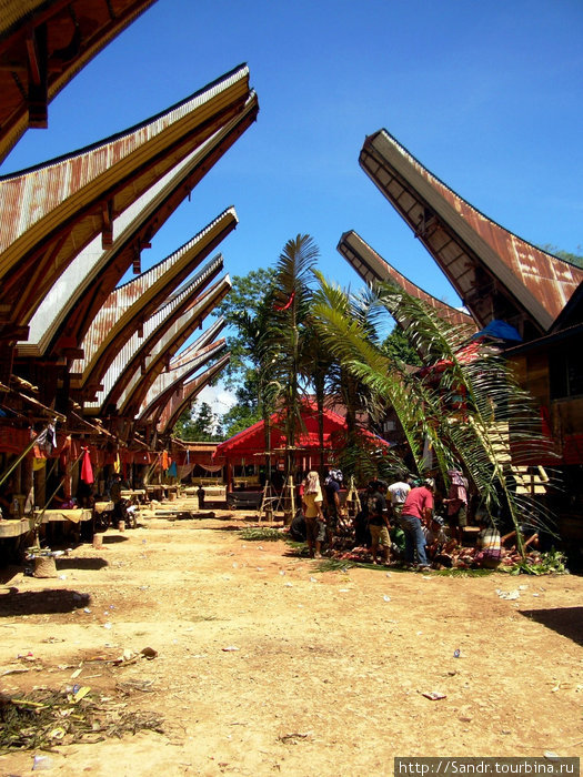 Пути тораджей: церемония Макале, Индонезия