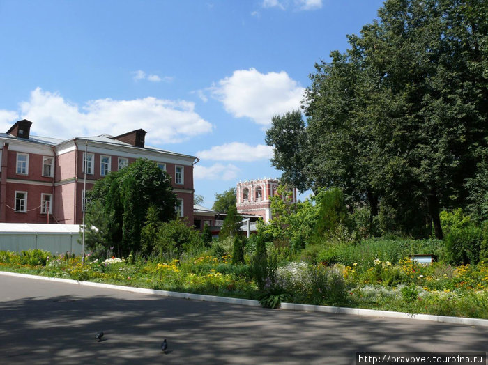 Старое донское кладбище Москва, Россия