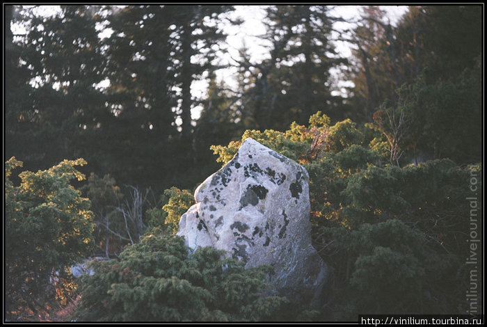 Кварцит — основная порода камней и скал Южного Урала. Иремель Природный парк и гора, Россия