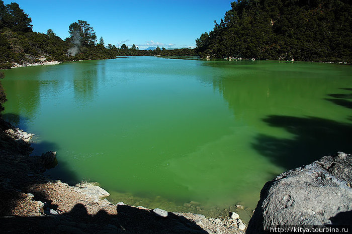 Геотермальная зона Wai-O-Tapu Роторуа, Новая Зеландия