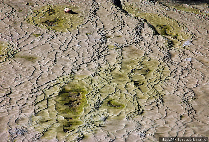 Геотермальная зона Wai-O-Tapu Роторуа, Новая Зеландия