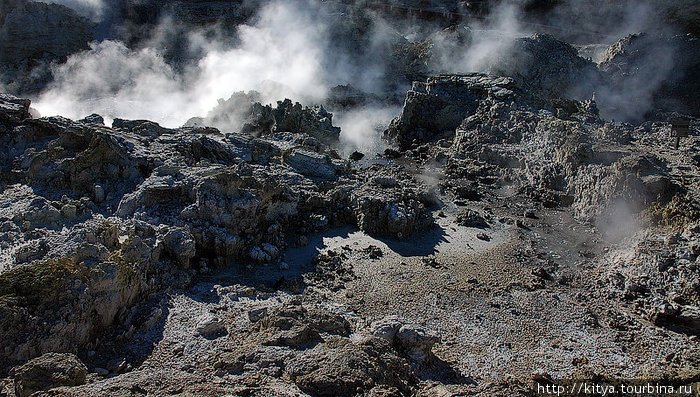 Геотермальная зона Tikitere Роторуа, Новая Зеландия