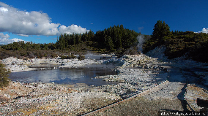 Геотермальная зона Tikitere Роторуа, Новая Зеландия