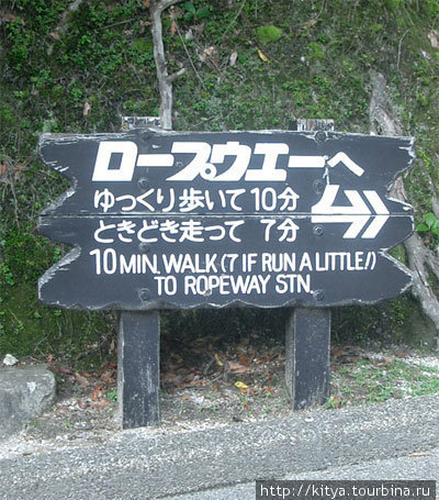 Олени на Миядзиме Миядзима, Япония