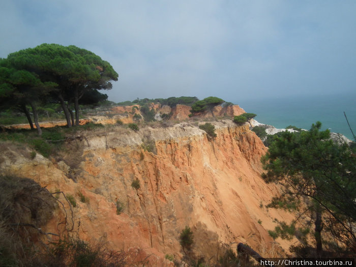 Природа Португалии (часть 1). Португалия