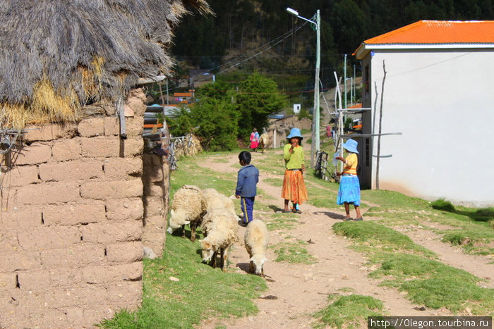 Деревенская дорога, предназначена только для пешего хождения- на острове автомобилей нет Исла-дель-Сол, Боливия