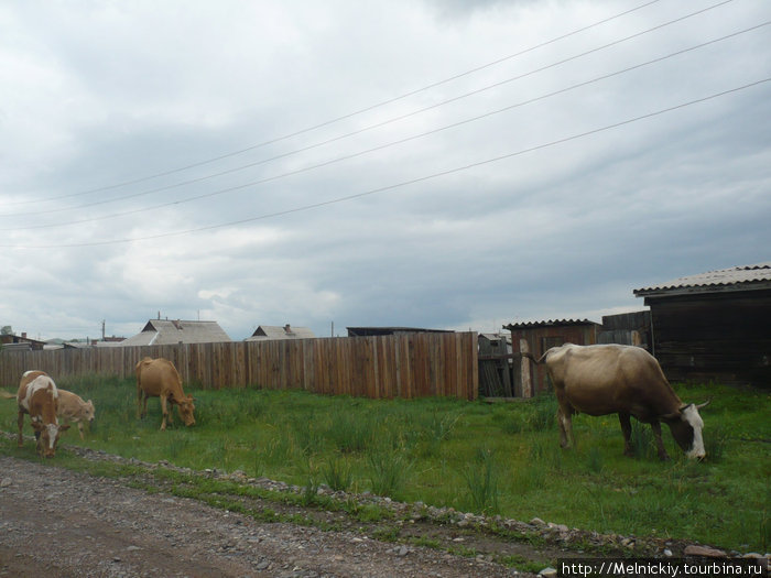 Аскиз Аскиз, Россия