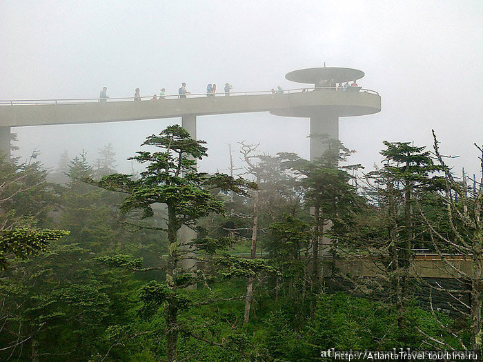 Купол Клингмана Clingmans Dome Грейт-Смоки-Маунтинс Национальный Парк, CША