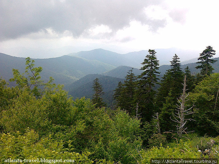 Купол Клингмана Clingmans Dome Грейт-Смоки-Маунтинс Национальный Парк, CША