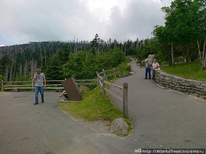 Купол Клингмана Clingmans Dome Грейт-Смоки-Маунтинс Национальный Парк, CША