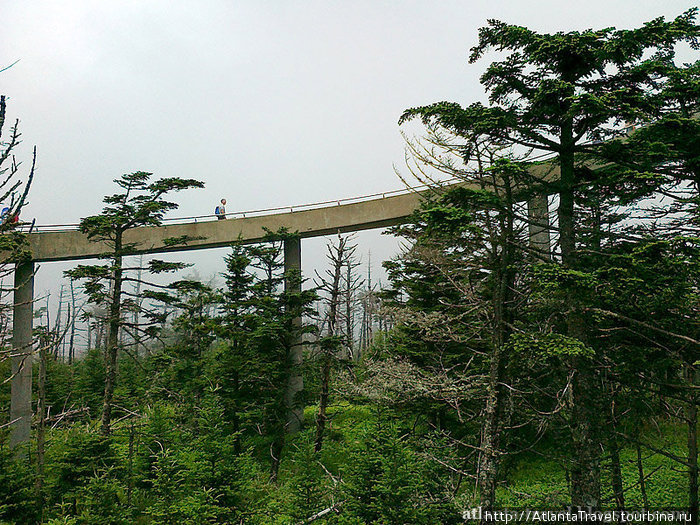 Купол Клингмана Clingmans Dome Грейт-Смоки-Маунтинс Национальный Парк, CША