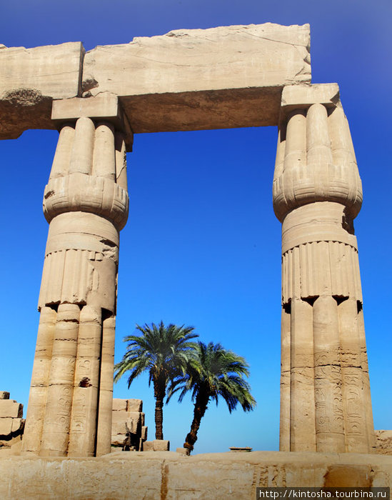 капители в форме связок папируса Луксор, Египет