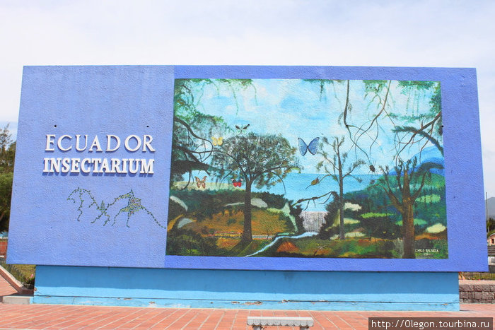 Музей насекомых Эквадора Кито, Эквадор