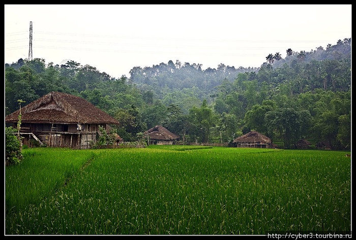 Путешествие к рисовым террасам Ксин-Ман, Вьетнам