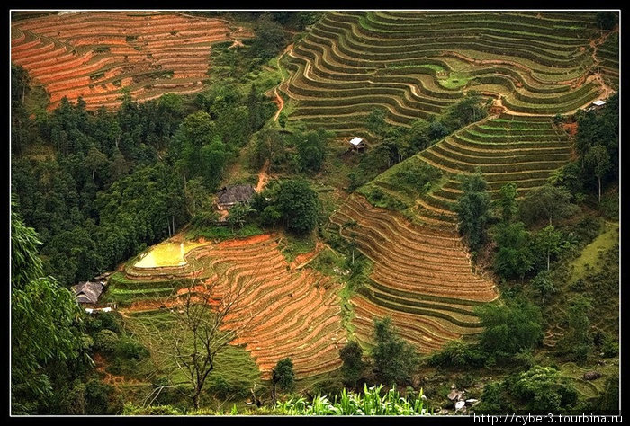 Путешествие к рисовым террасам Ксин-Ман, Вьетнам