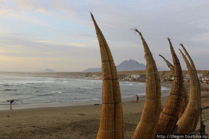 Кисточки каное на фоне океана Перу