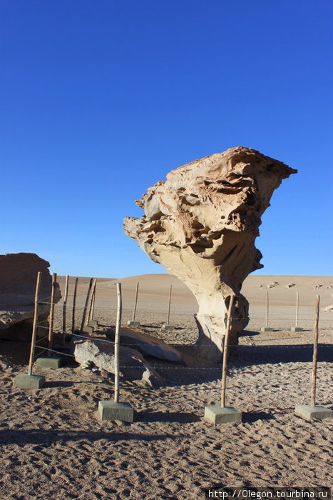 Арбол де Пиедра, что в переводе с испанского означает- Каменное дерево. Природное произведение, скальные образования, обтёсанные ветрами Уюни, Боливия