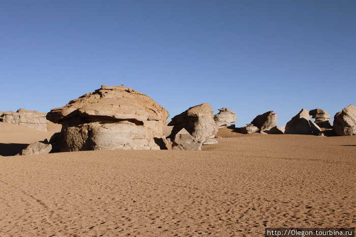 Среди пустыни и песка вырастают каменные фигуры