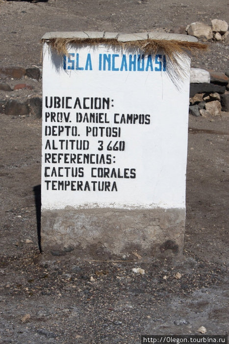 Жилище кактусов среди соли Уюни, Боливия