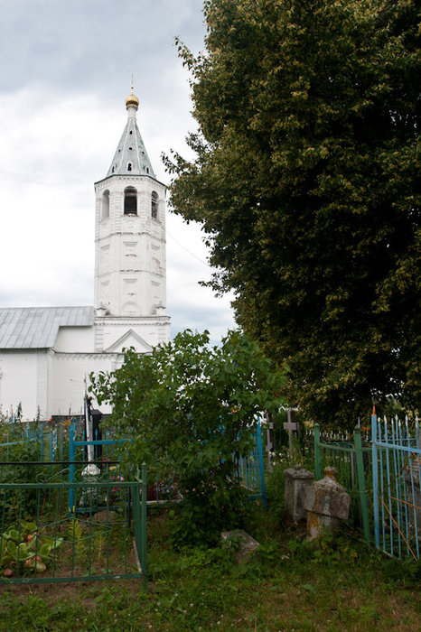 По дороге в Суздаль Суздаль, Россия