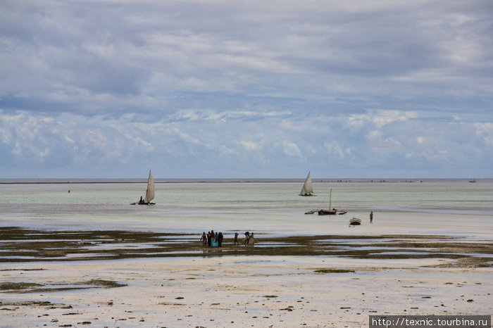 Занзибар, отлив Остров Занзибар, Танзания