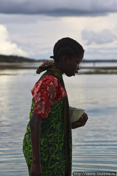 Здесь и далее жизнь местного населения во время отлива: многие выходят на добычу пищи Остров Занзибар, Танзания