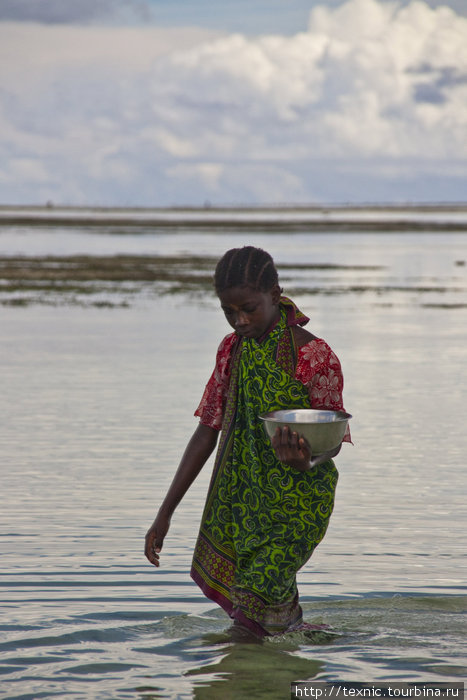 Занзибар, отлив Остров Занзибар, Танзания