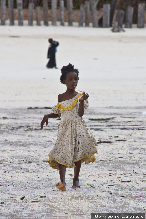 Модница Остров Занзибар, Танзания