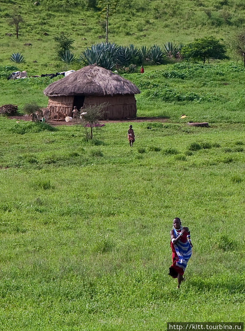 Самостоятельное сафари. Танзания. январь 2010 Танзания