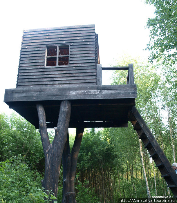 Дом над лесом Калужская область, Россия