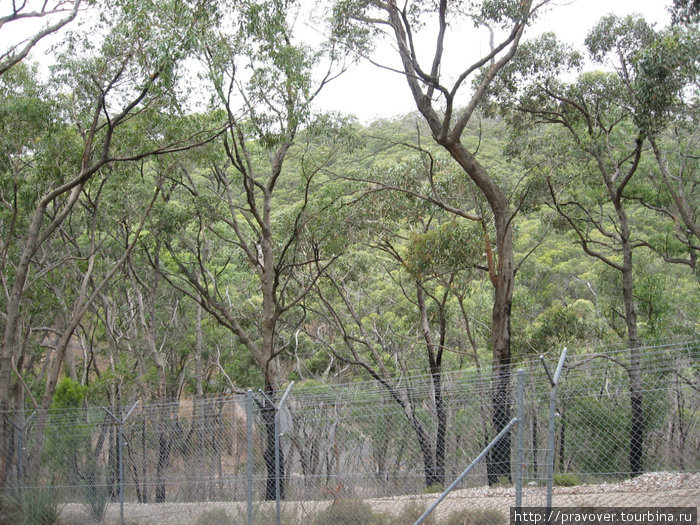 Cleland Wildlife Park Аделаида, Австралия