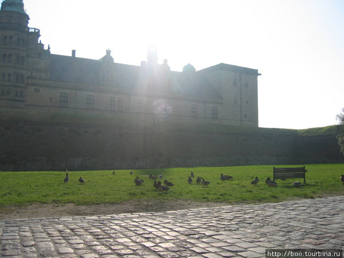 ...у стен дворца она пасла гусей :) Хельсингёр, Дания