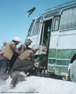 Осла засаживают в автобус (в котором уже 50 овец, 5 коров и пассажиры едут). Трасса на Кандагар.