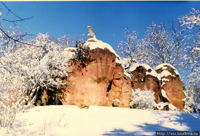 Заснеженный Кисловодск. Декабрь 2001 года. Кисловодск, Россия