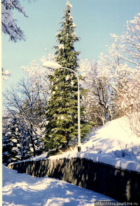 Заснеженный Кисловодск. Декабрь 2001 года. Кисловодск, Россия