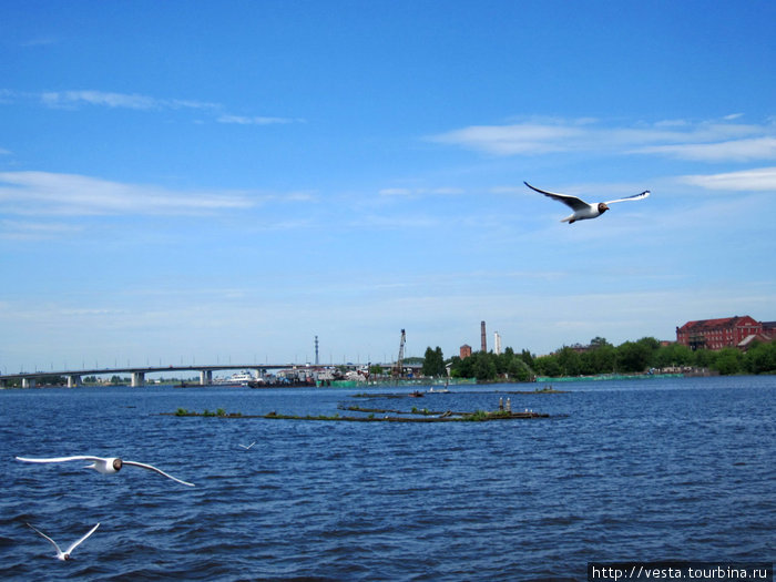 Прогулка по Костроме Кострома, Россия