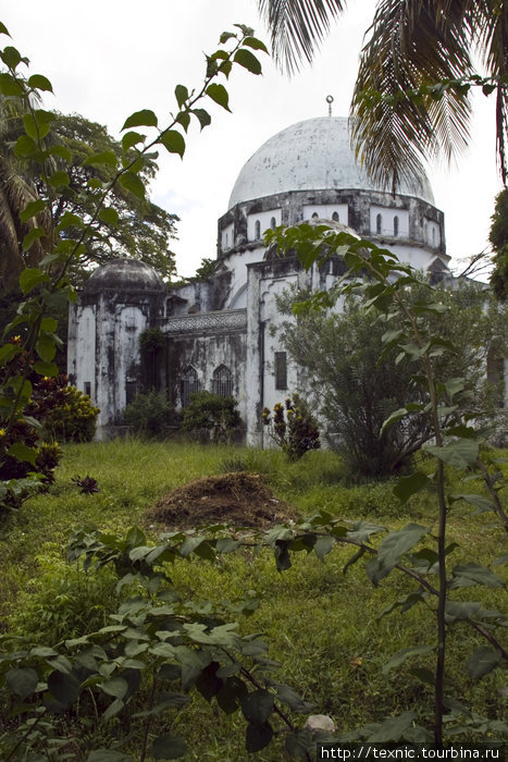 Большинство жителей Занзибара — мусульмане Остров Занзибар, Танзания