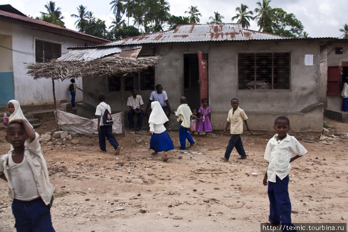 Мы проезжали деревни, а маленькие дети кричали нам в след: «You can die in Zanzibar!» Остров Занзибар, Танзания