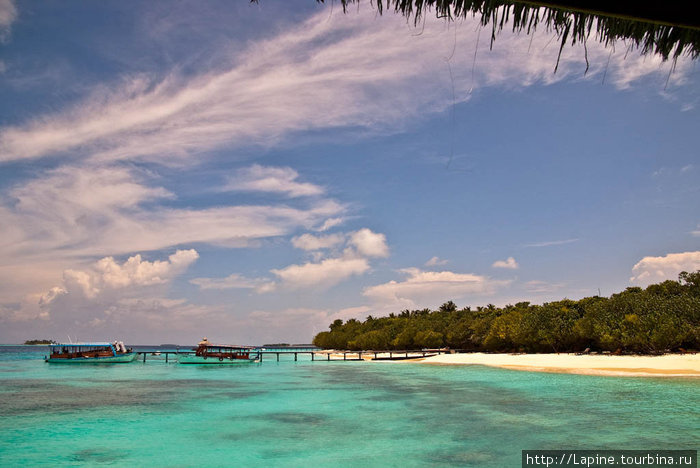И снова Мальдивы... Баа Атолл, Мальдивские острова