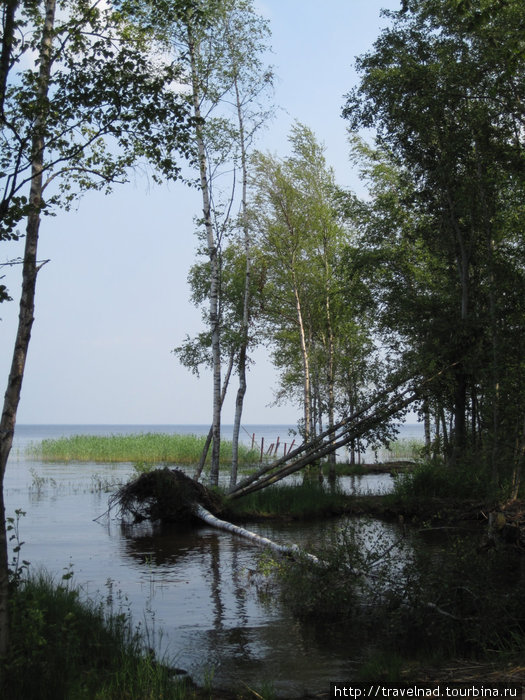 Токсово-Волоярви-Краськово-Гавань-Морье-Ладозеро/2 Санкт-Петербург и Ленинградская область, Россия