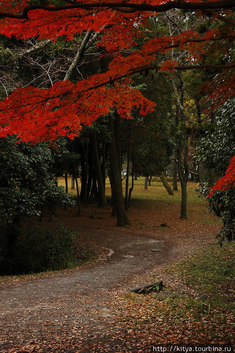 В парке замка Уэно Ига, Япония