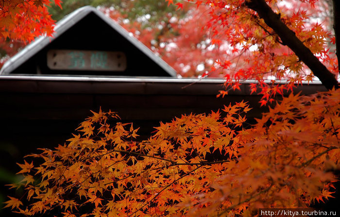 Осень в Иге Ига, Япония