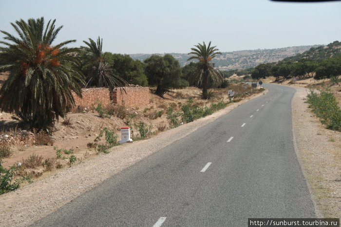 по дороге из Эс-Суэйры в Агадир Марокко