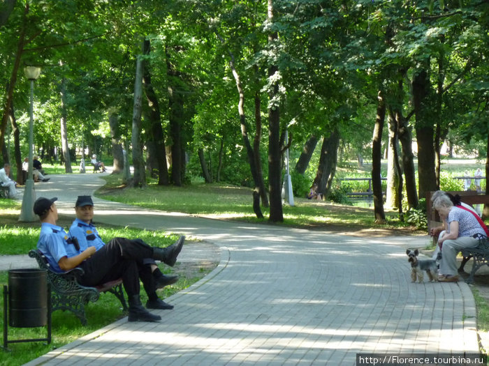 Лето. Жара. Воронцово Москва, Россия